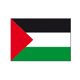 Pack Da 3 Canottiere Uomo In Cotone - Canotta Sportiva Senza Maniche Per Palestra E Fitness - Foto 2