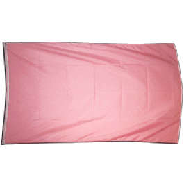 Drapeau De Table Rose Unicolore - 21 X 14 Cm Avec Hampe 25 Cm Et Socle Noir - Décoration Bureau, événement, Fête - 100% Polyester