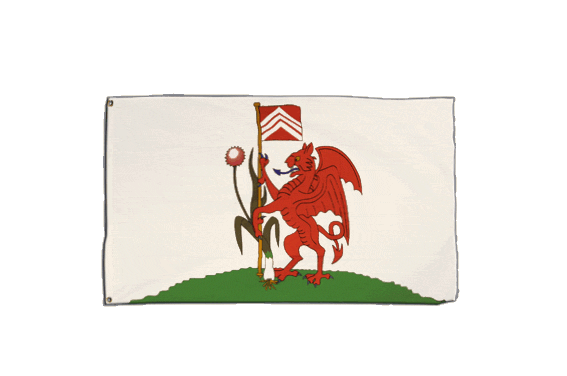 Drapeau Cardiff 90x60 Cm AZ FLAG - Drapeau Pays De Galles Avec Oeillets Métalliques