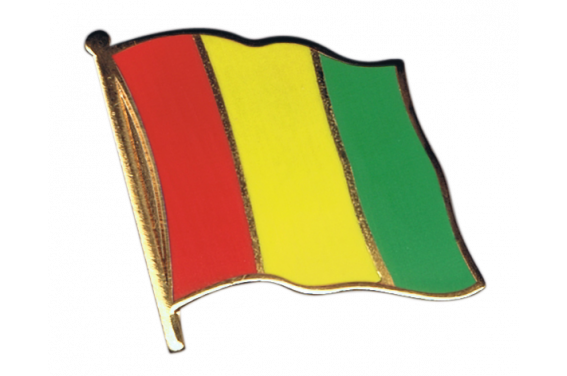 Pin's (épinglette) Drapeau Guinée - 2 x 2 cm 
