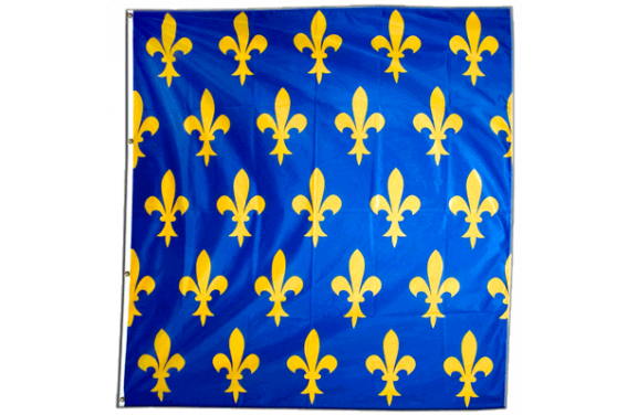 Drapeau France Fleur-de-Lys, bleu - 150 x 150 cm - maison-des-drapeaux.com