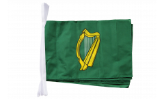 Guirlande Irlande Leinster - 30 x 45 cm