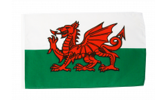 Kit : 10 Drapeaux Pays de Galles - 30 x 45 cm