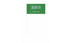 Drapeau en papier Arabie Saoudite - 12 x 24 cm