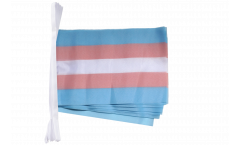 Guirlande Transgenre Pride - 15 x 22 cm