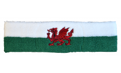 Bandeau de transpiration Pays de Galles - 6 x 21 cm