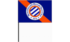 Drapeau HSC Montpellier sur hampe - 40 x 60 cm
