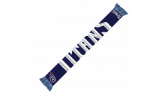 Écharpe NFL Tennessee Titans Fan - 17 x 150 cm
