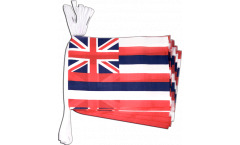 Guirlande USA US Hawaii - 15 x 22 cm